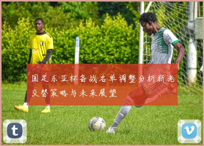 国足东亚杯备战名单调整分析新老交替策略与未来展望
